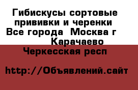 Гибискусы сортовые, прививки и черенки - Все города, Москва г.  »    . Карачаево-Черкесская респ.